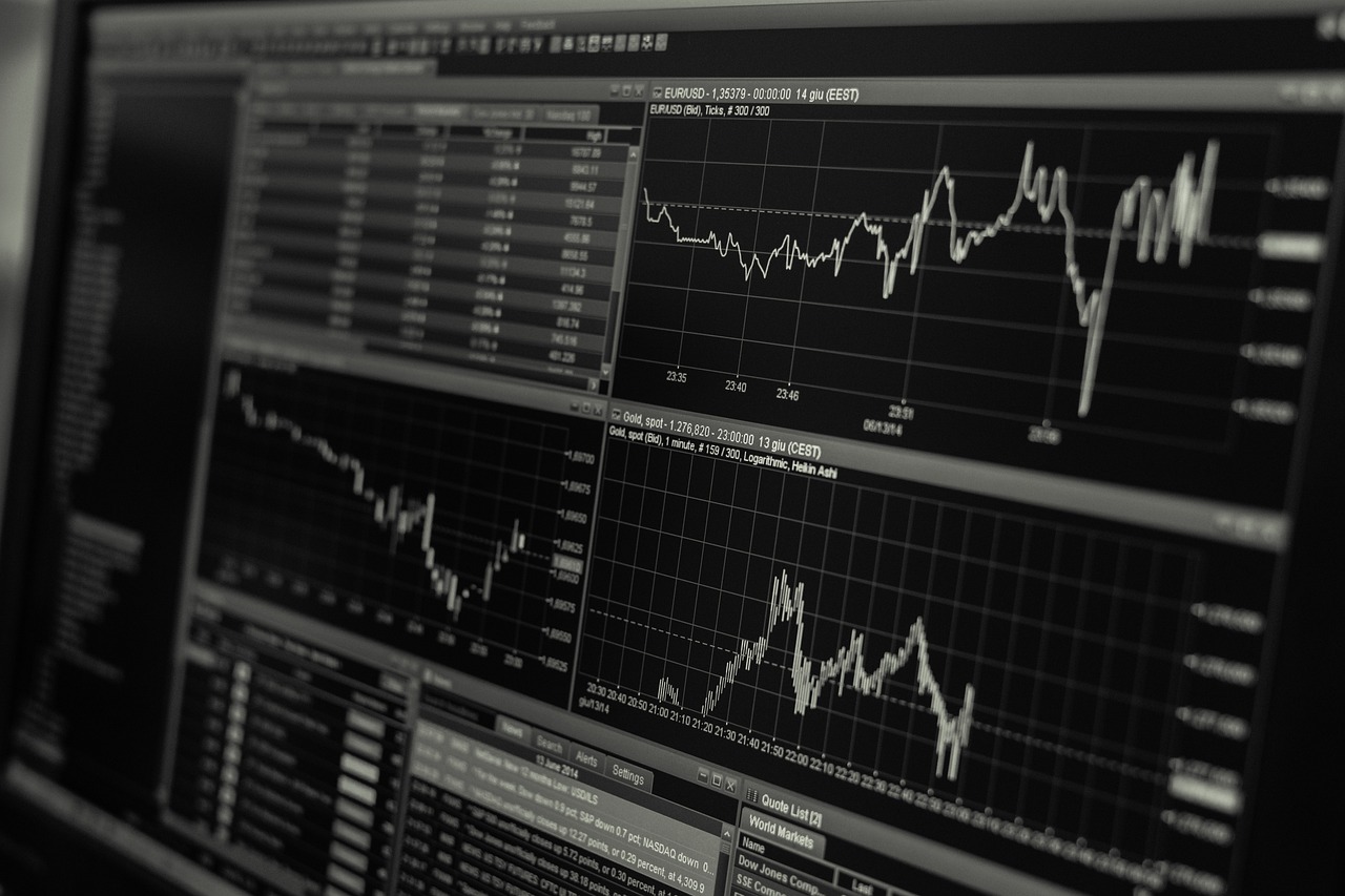 Acquisition Aftermath: Integrating Cultures, Maximizing Synergies